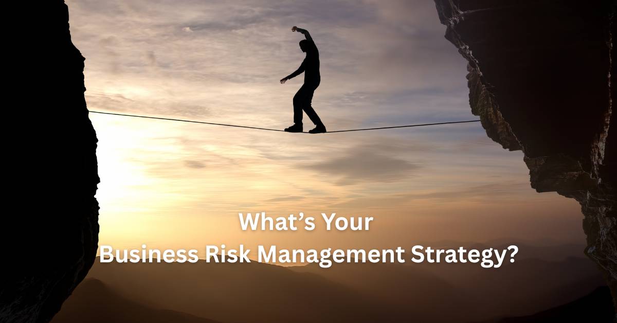 Guy walking between two cliffs on a tightrope with the words "What's your buiness risk strategy".