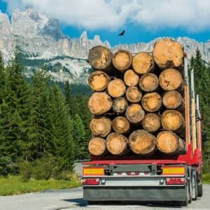 Truck loaded with felled trees driving down a mountain road.