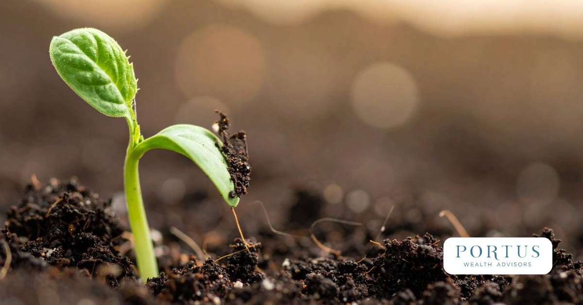 Image of a plant budding from fresh soil with the Portus Wealth Advisors logo